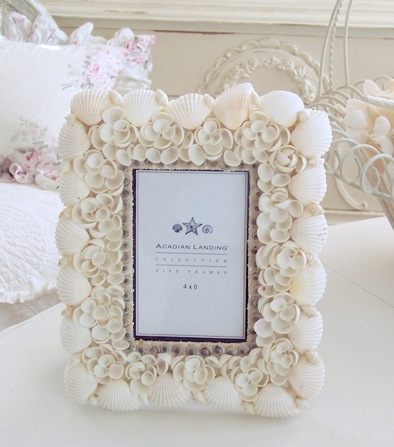COASTAL COLLECTION BEACH SEASHELL PHOTO PICTURE FRAME