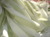 RACHEL ASHWELL SHABBY CHIC GREEN WHITE CABANA AWNING STRIPE BEDSKIRT